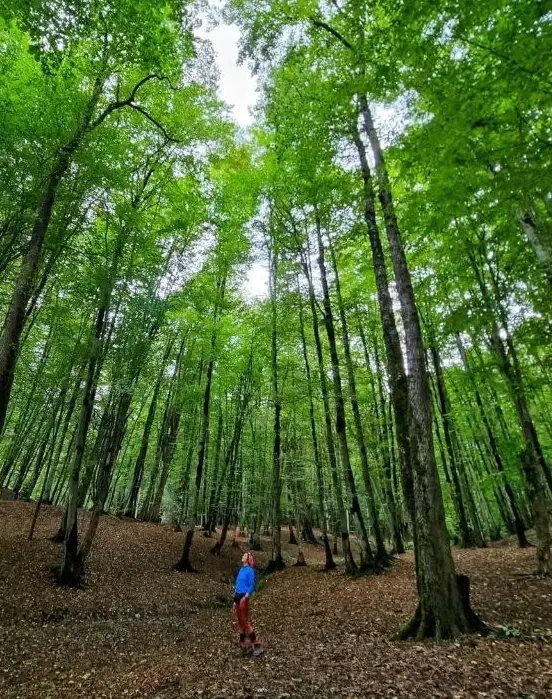 تور  مرداب  وربن  جاده چالوس کمپ  یه روزه|تور و چارتر|تهران, صادقیه|دیوار