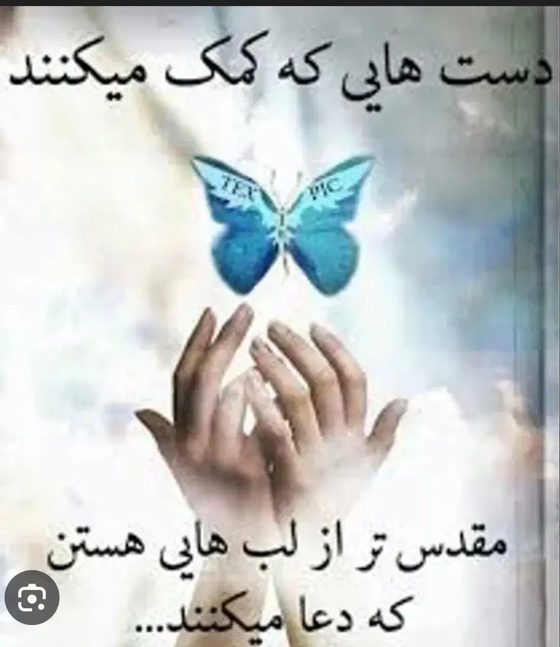 پول قرض میخوام|فعالیت داوطلبانه|تهران, میدان ولیعصر|دیوار