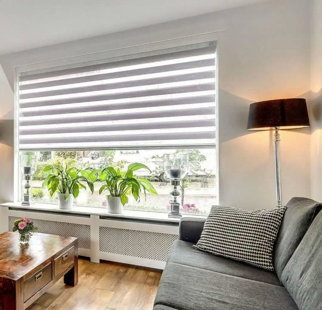 پخش انواع پرده زبرا تُرک، کرکره فلزی، پردهDKو چاپی|پرده، رانر، رومیزی|مشهد, صیاد شیرازی|دیوار