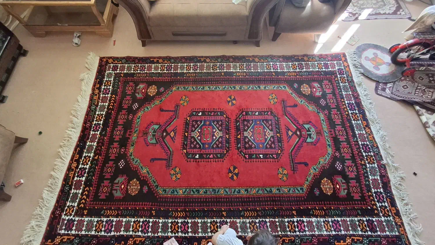 قالی دست بافت|فرش|شیروان (خراسان), |دیوار