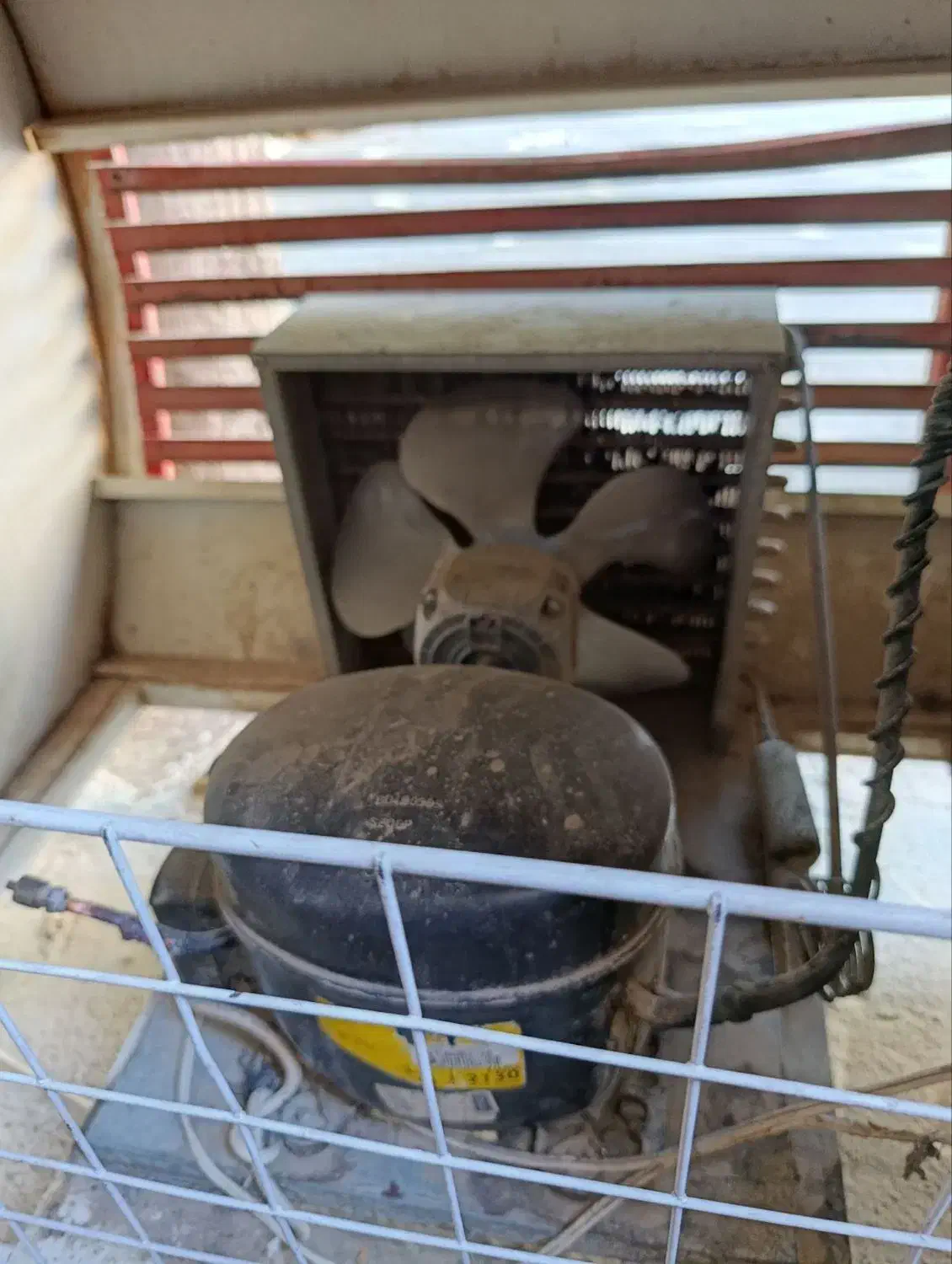 یخچال مناسب سوپری و فست فود پر قدرت|یخچال و فریزر|لردگان, |دیوار