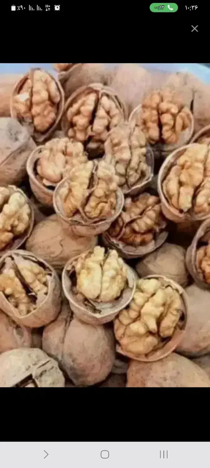 گردو کلات پرچرب کلات رسید خوشمزه|خوردنی و آشامیدنی|مشهد, شهید شهریاری|دیوار