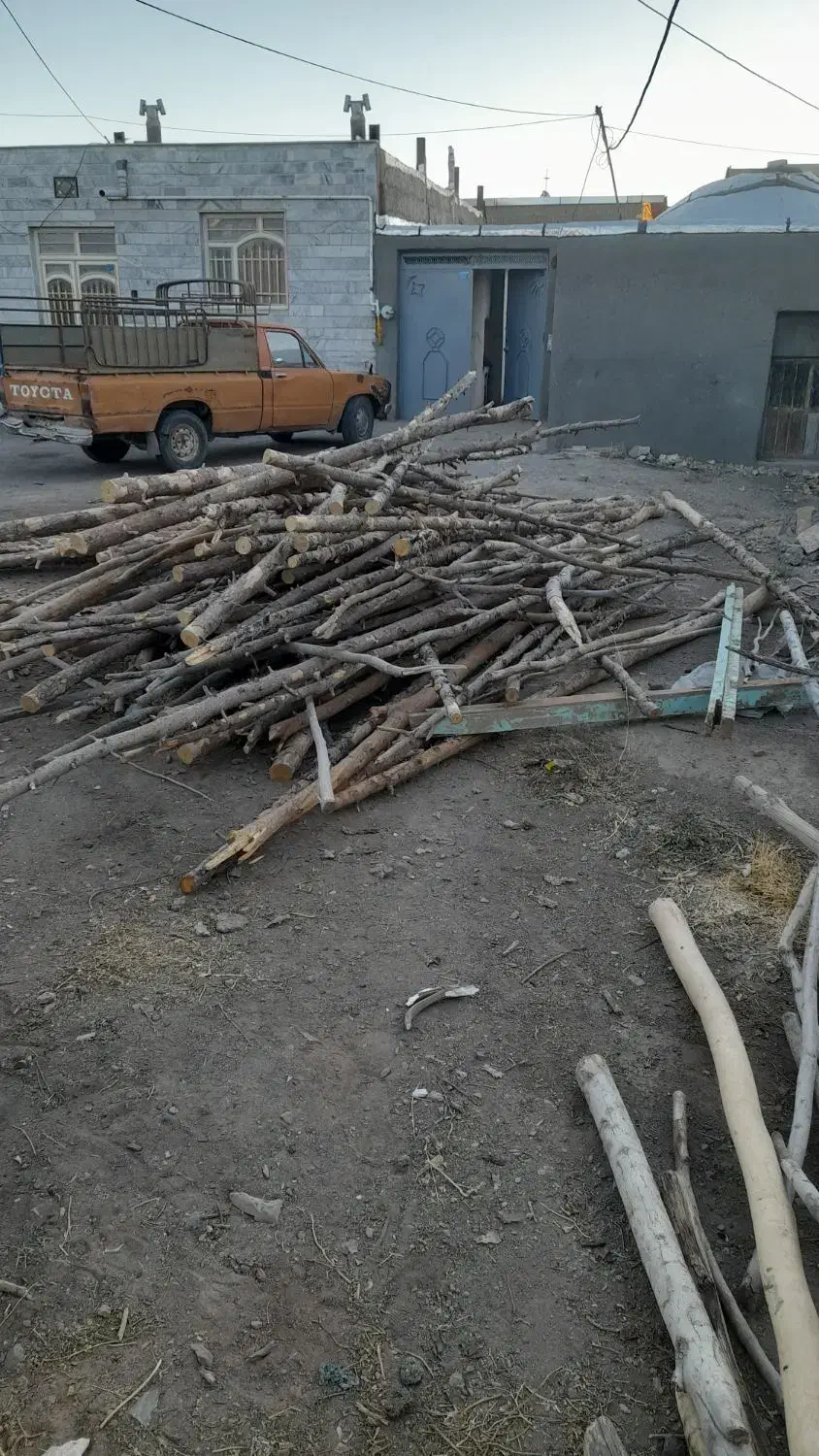 چوب تالار زرشک|خدمات باغبانی و درختکاری|سده (خراسان جنوبی), |دیوار