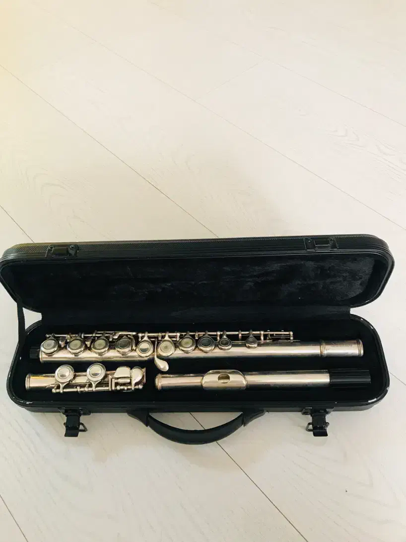 فلوت کلیدار|سازهای بادی|شیراز, فرهنگ شهر|دیوار