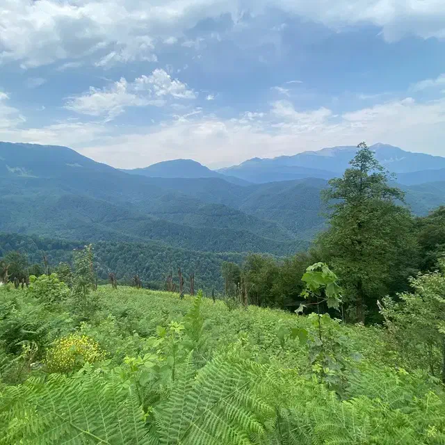 برشریعتی ۲۲۵ متر ملکیت وسرقفلی مناسب همه کار|فروش مغازه و غرفه|تهران, کاج|دیوار