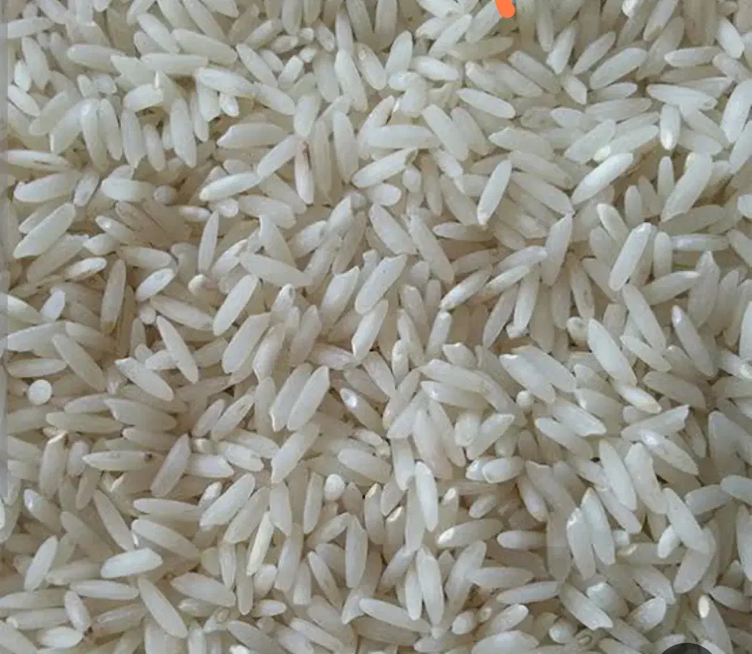 فروش برنج طارم هاشمی|خوردنی و آشامیدنی|شهرکرد, |دیوار