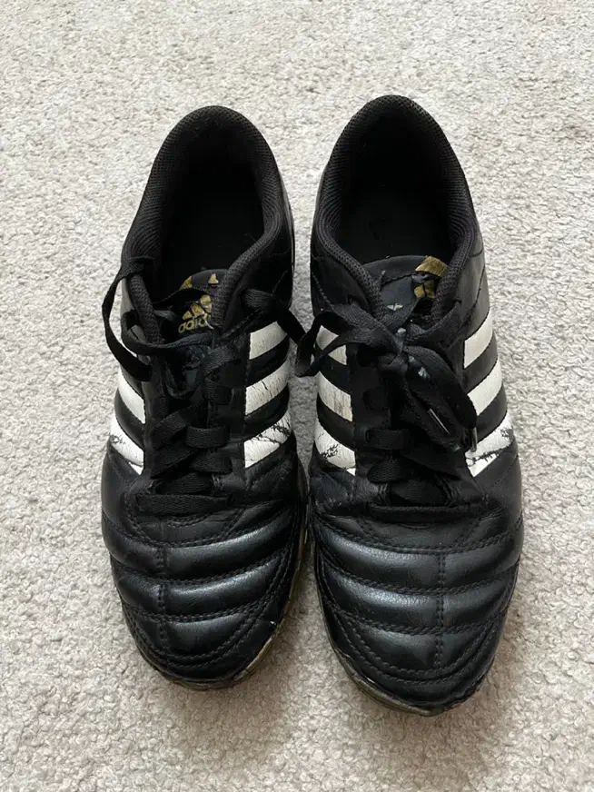 کفش فوتسال اورجینال آدیداس داویتکو|کیف، کفش، کمربند|اردبیل, |دیوار