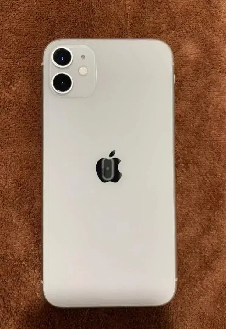 ایفون11نرمال 256گیگ|موبایل|مراغه, |دیوار