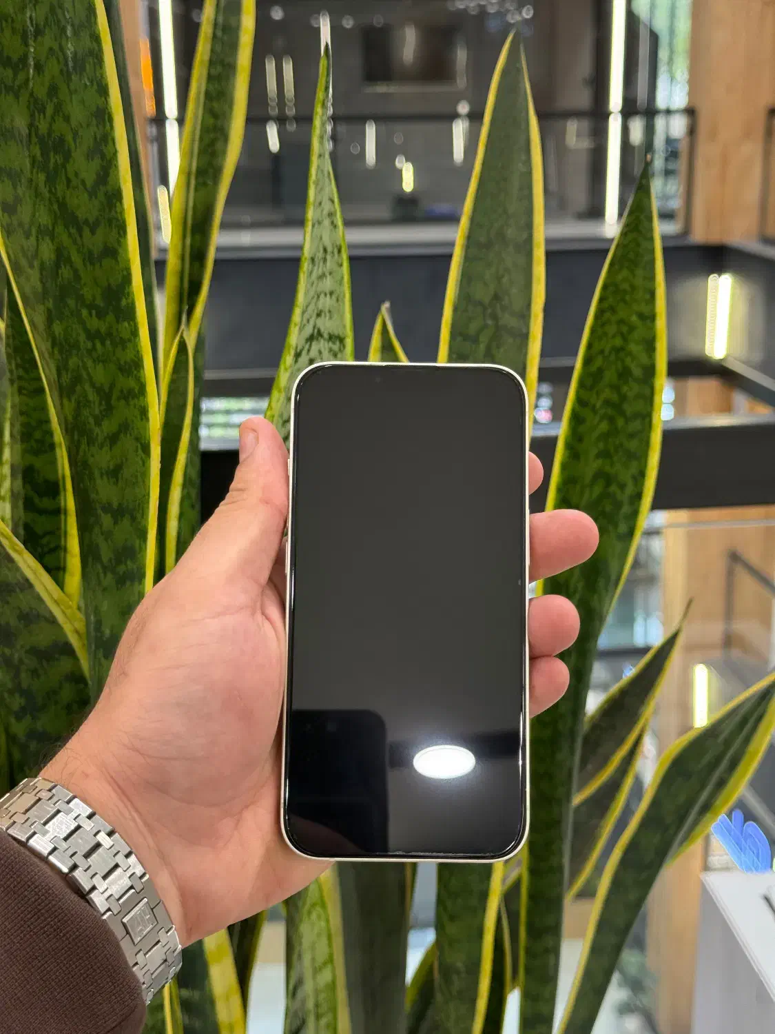 آیفون ۱۳ نرمال|موبایل|رشت, چله خانه|دیوار