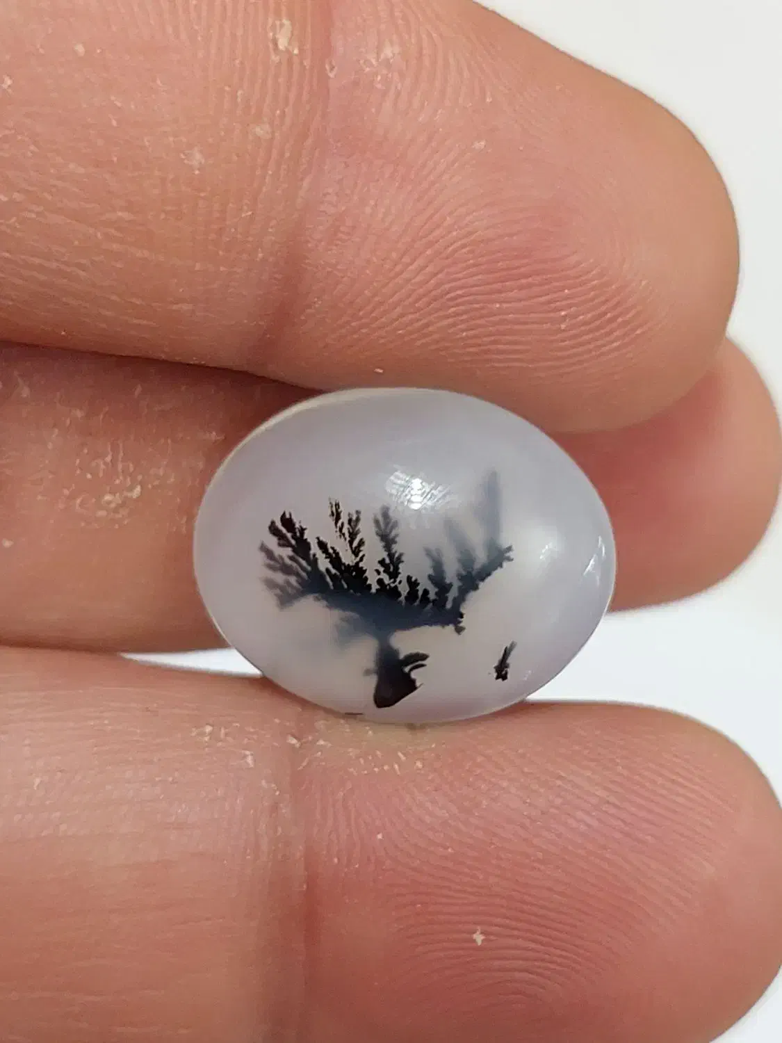 سنگ شجر|بدلیجات|کرمانشاه, |دیوار