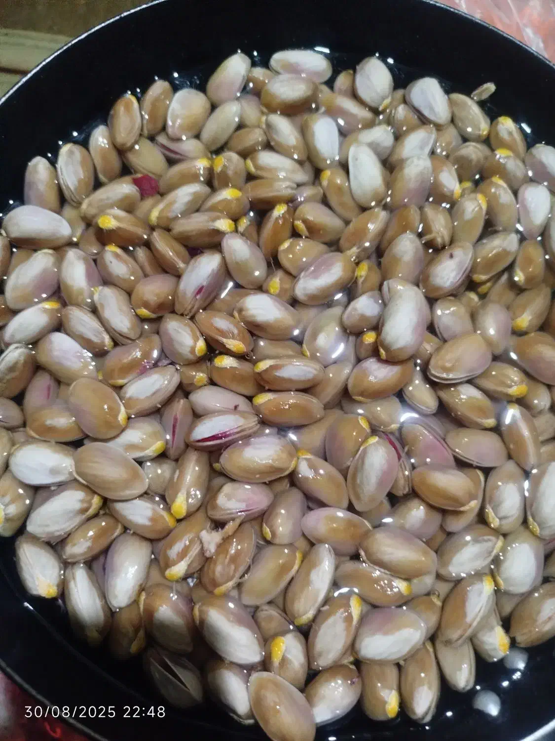 دو حبه اب کشاورزی  احمدآباد|خدمات باغبانی و درختکاری|زرند, |دیوار