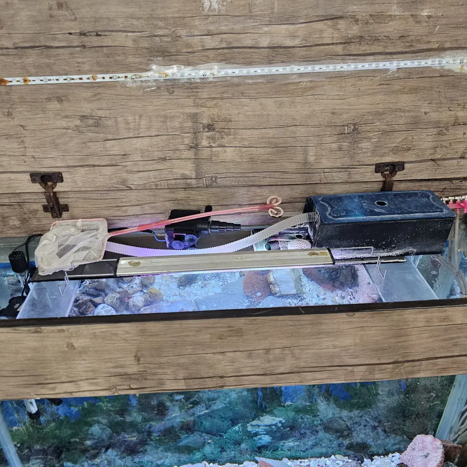 آکواریوم پایه دار|ماهی|تهران, دولتخواه شمالی|دیوار