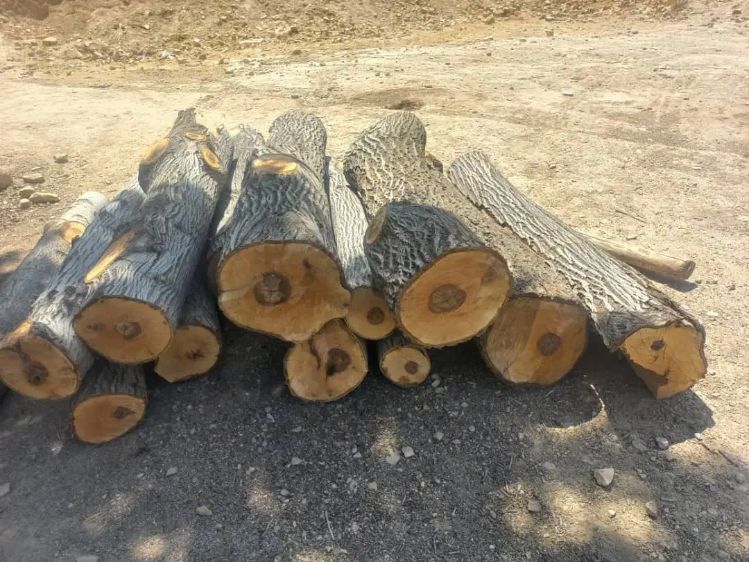 چوب|خدمات باغبانی و درختکاری|یاسوج, |دیوار