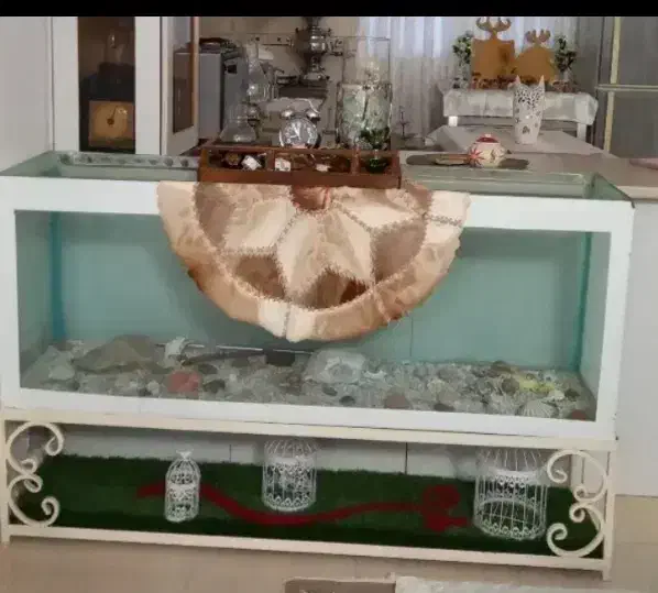 اکواریوم همراه با پایه اهنی|ماهی|آمل, |دیوار