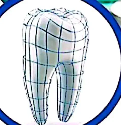 دندانپزشک پروانه اذرشهر|استخدام درمانی، زیبایی، بهداشتی|آذرشهر, |دیوار