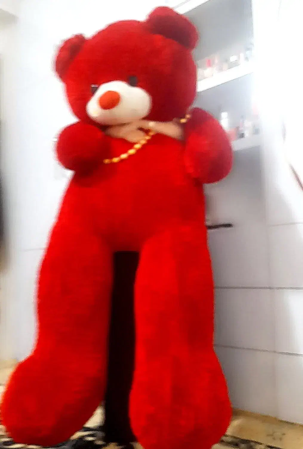 خرس|اسباب‌بازی بچه|تربت جام, حافظ|دیوار