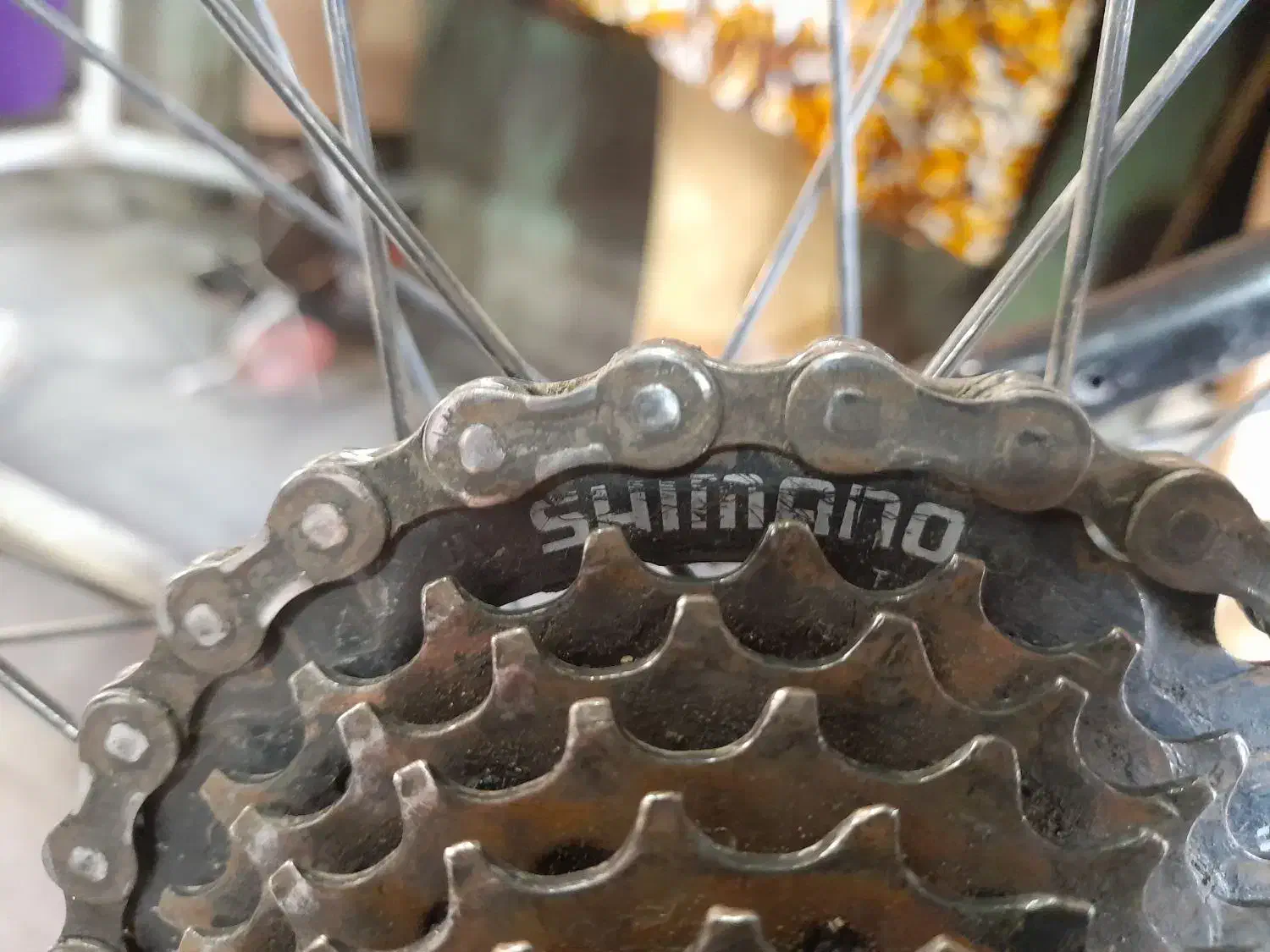 دوچرخه ۲۶|دوچرخه، اسکیت، اسکوتر|مشگین شهر, |دیوار