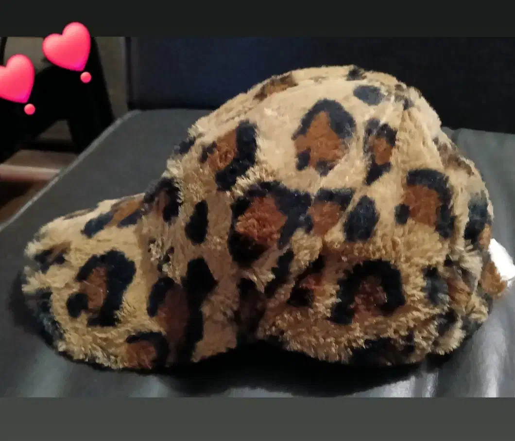 کلاه|لباس|نوشهر, |دیوار