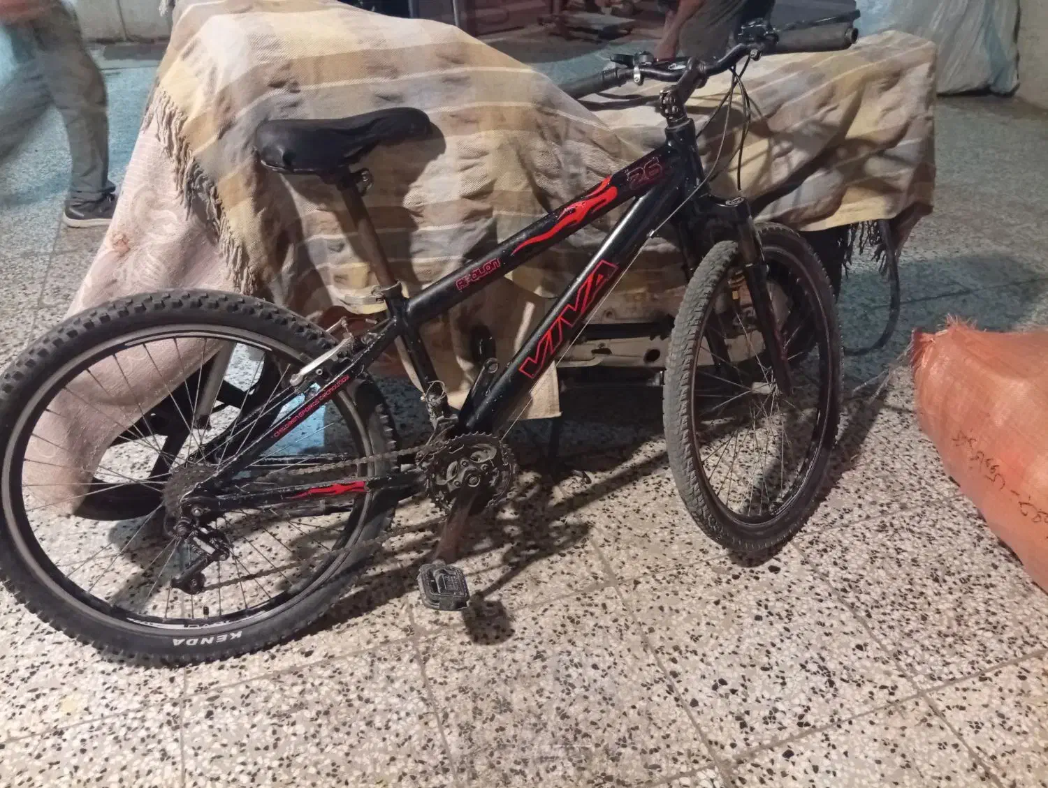 دوچرخه حرفه ای ویوا|دوچرخه، اسکیت، اسکوتر|گنبد کاووس, |دیوار