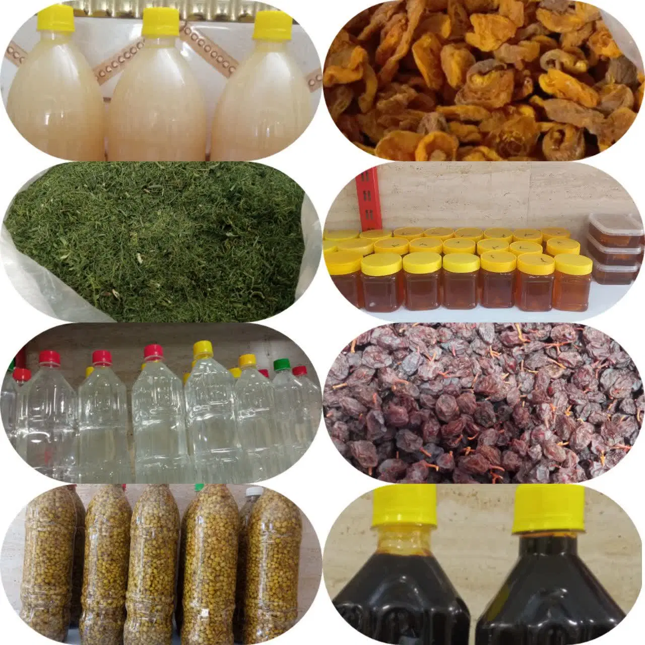 بادام|حراج|داراب, |دیوار
