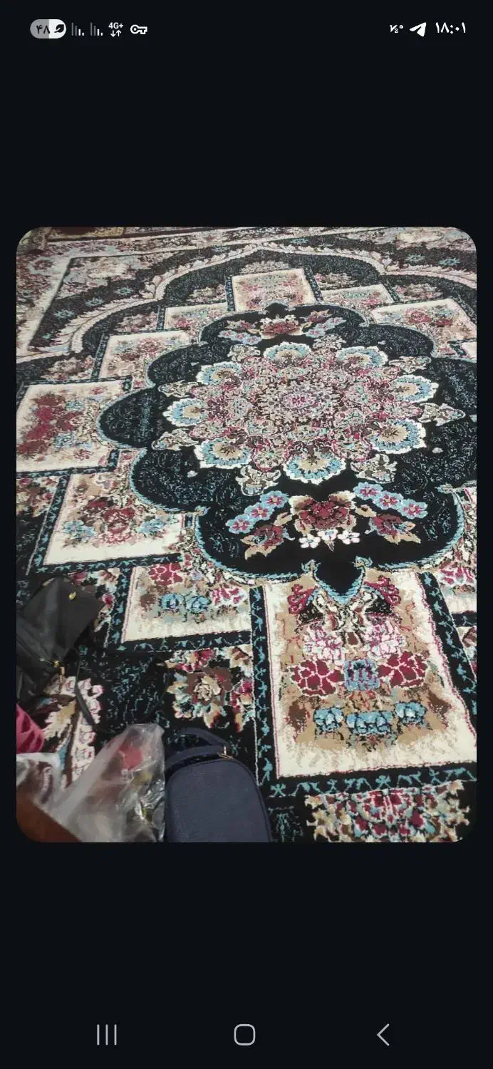 یک عدد فرش 12 متری در حد|فرش|تالش, طولارود|دیوار