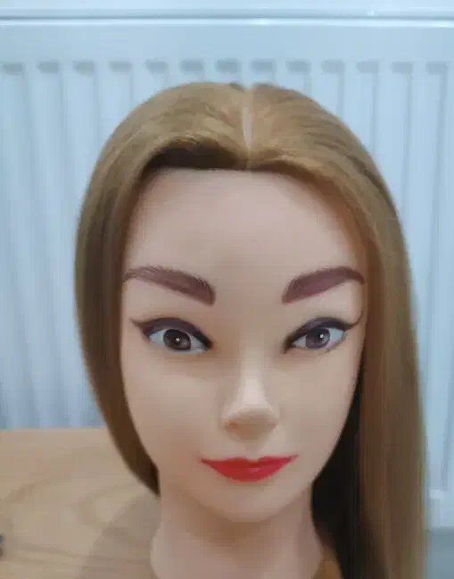 کله مانکن|آرایشگاه و سالن‌های زیبایی|سبزوار, توحیدشهر|دیوار