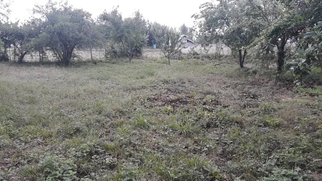 فروش زمین|فروش زمین و ملک کلنگی|سنگر, |دیوار