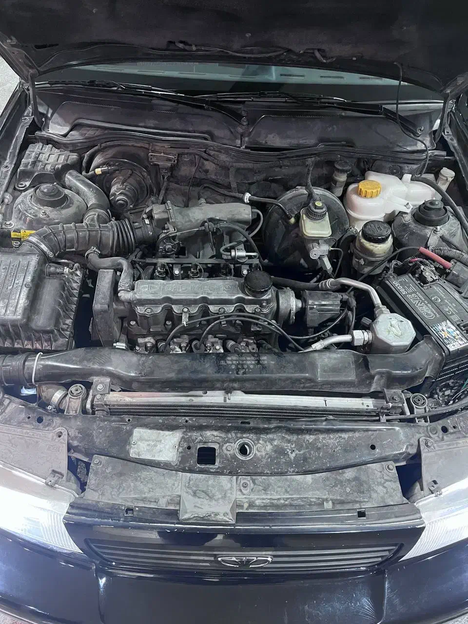 دوو سیلو ۸۱|خودرو سواری و وانت|رودهن, |دیوار