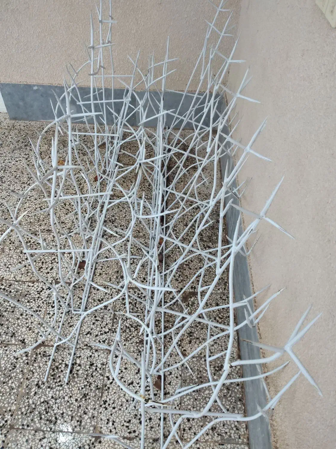 شاخ گوزنی|عمده‌فروشی|شوسف, |دیوار