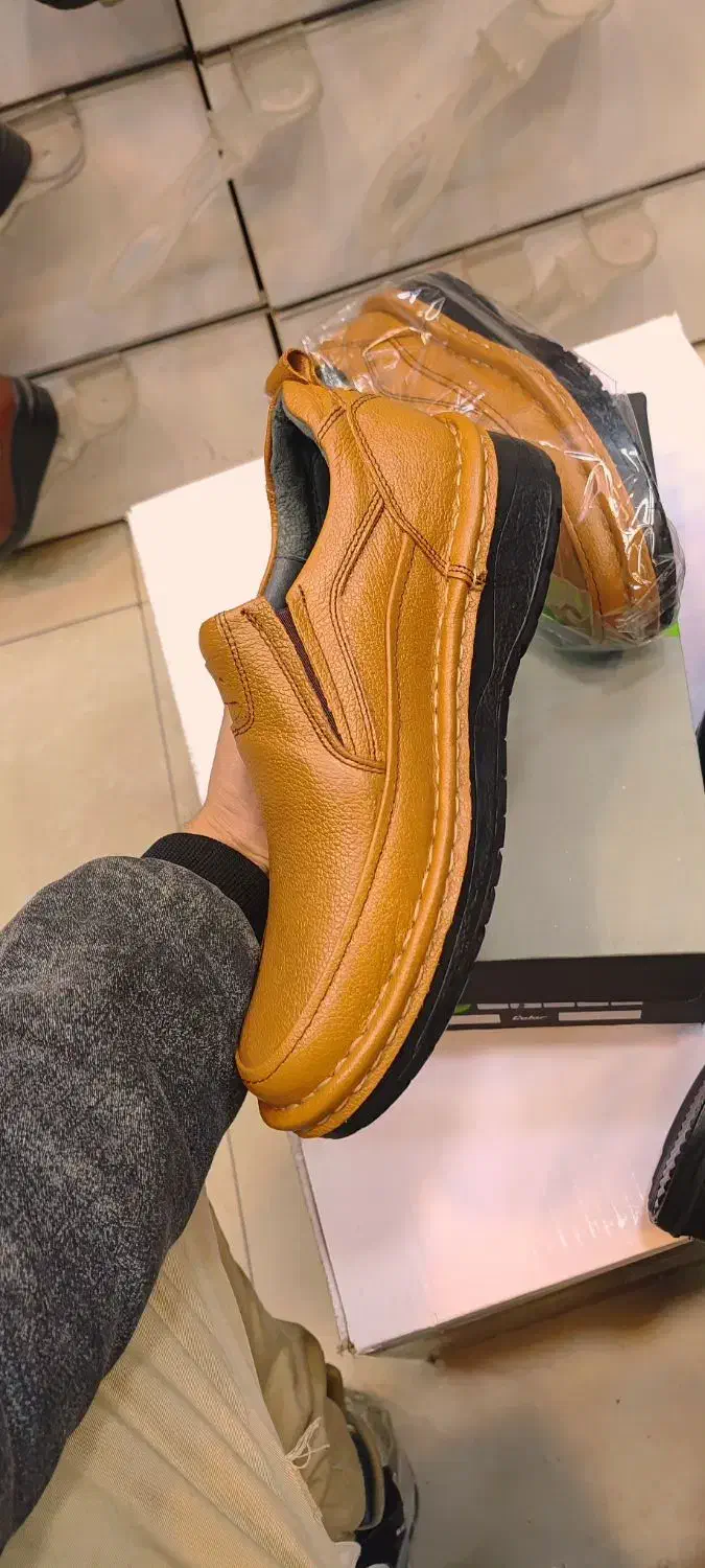 کفش چرم کلارک چرم (گاوی) تبریز|کیف، کفش، کمربند|مشهد, دانش|دیوار