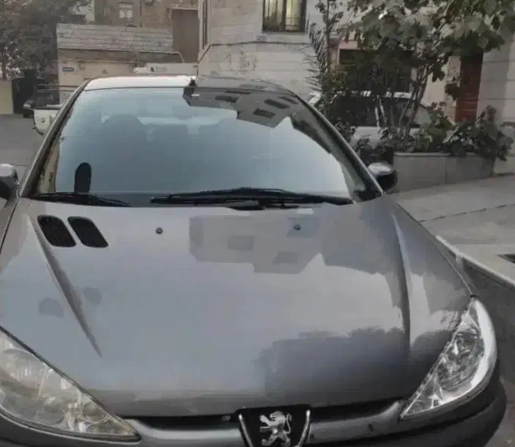 فروش پژو ۲۰۶ مدل ۸۳|خودرو سواری و وانت|مراغه, |دیوار