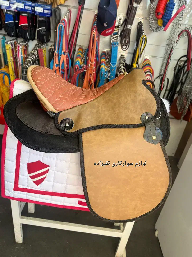 اسب نریان|اسب و تجهیزات اسبسواری|زنجان, |دیوار