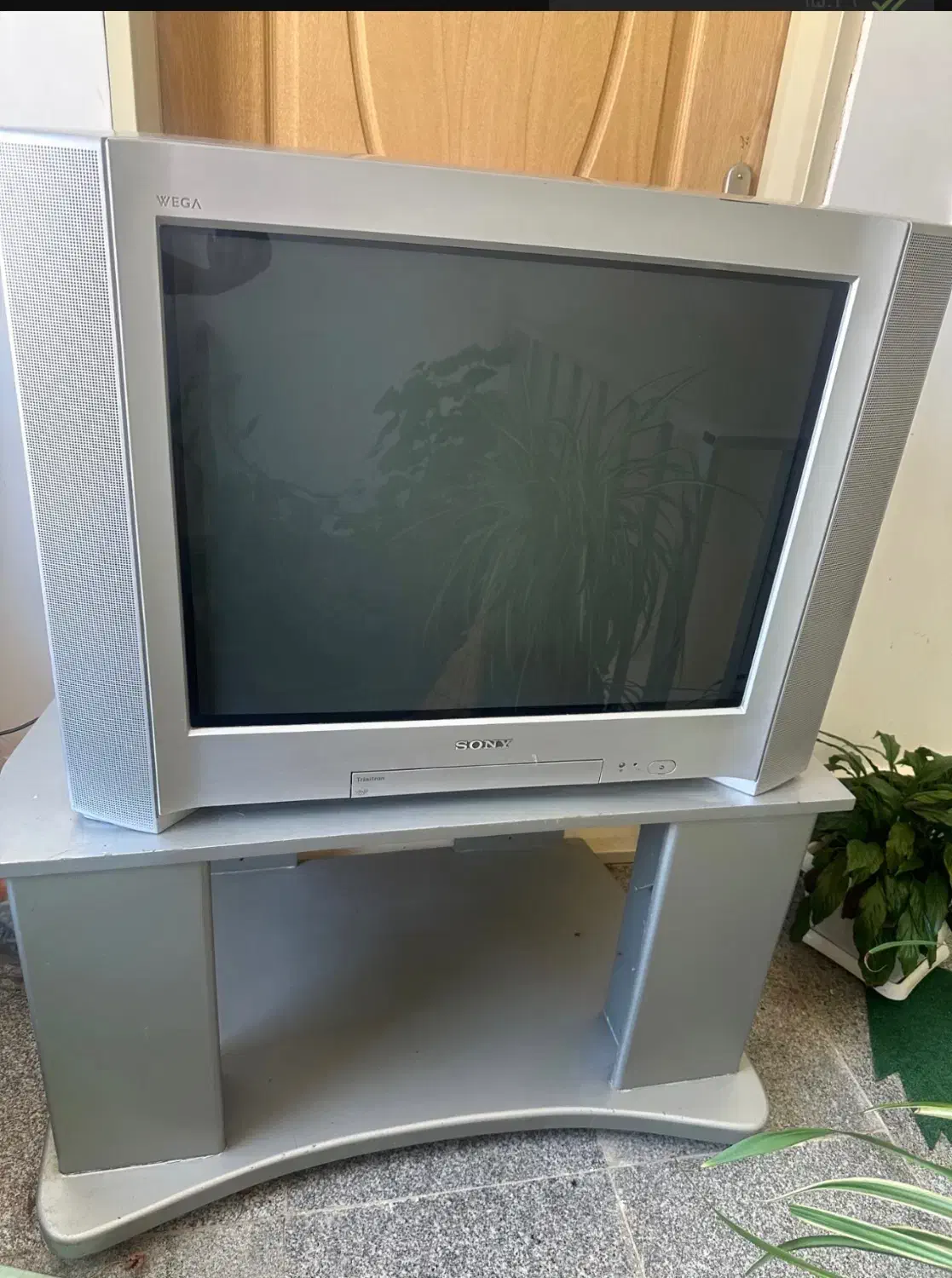 تلویزیون|تلویزیون و پروژکتور|خلخال, |دیوار