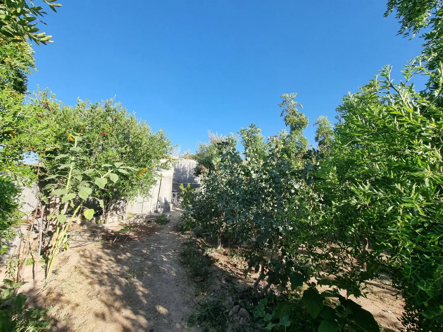 تصویر 7