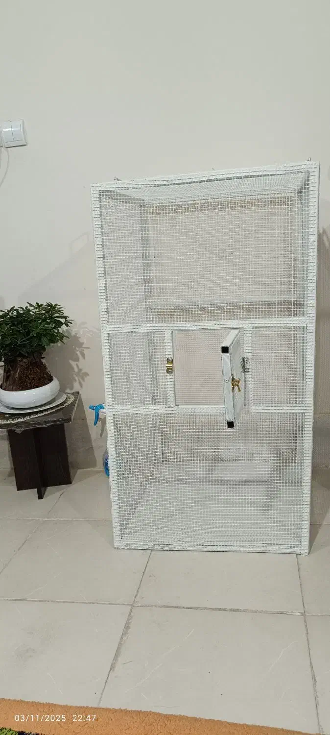 قفس پرنده|لوازم جانبی حیوانات|لنجان, |دیوار