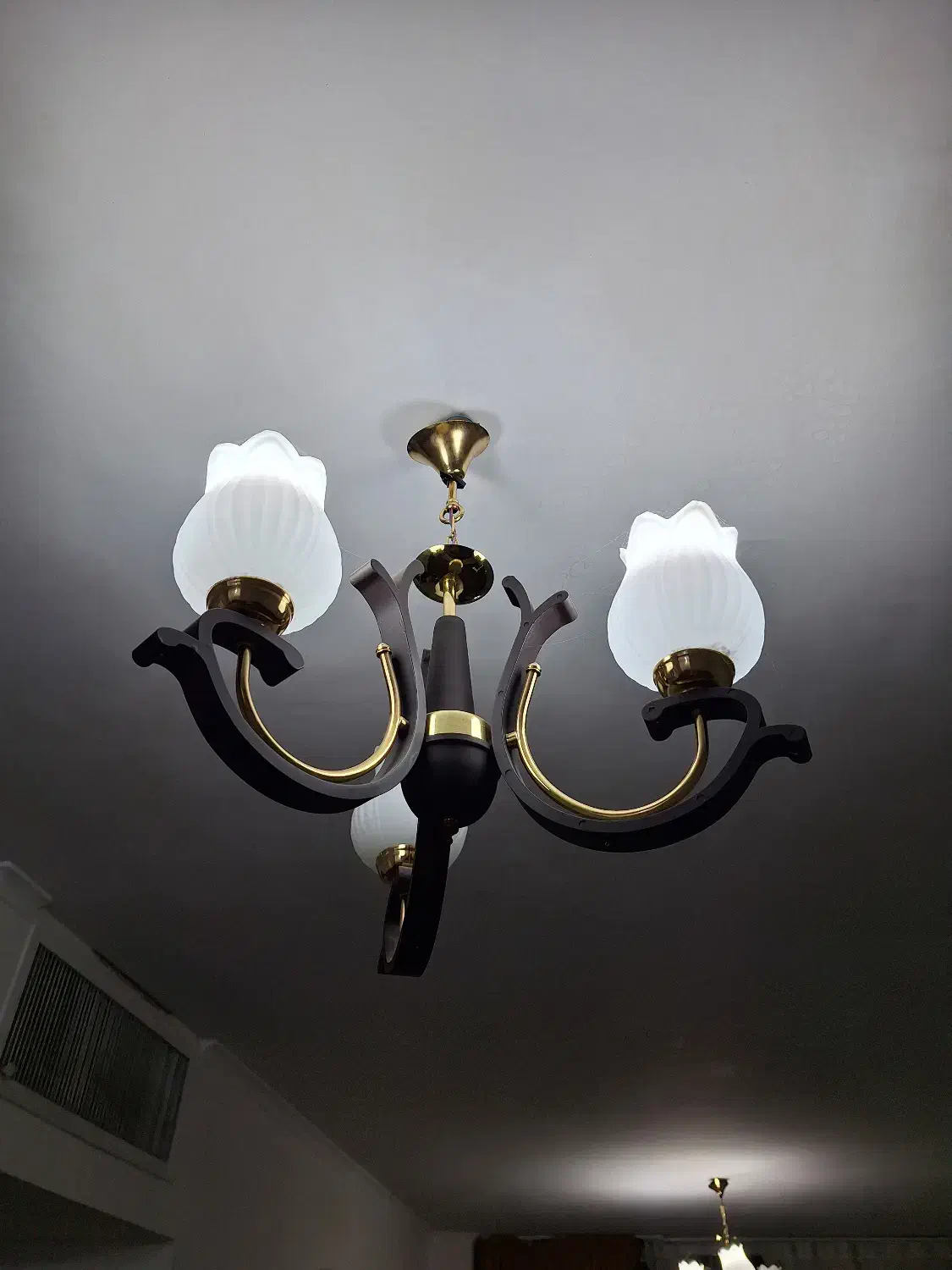 فروش دو عدد لوستر|لوستر و چراغ آویز|شیراز, نصر|دیوار