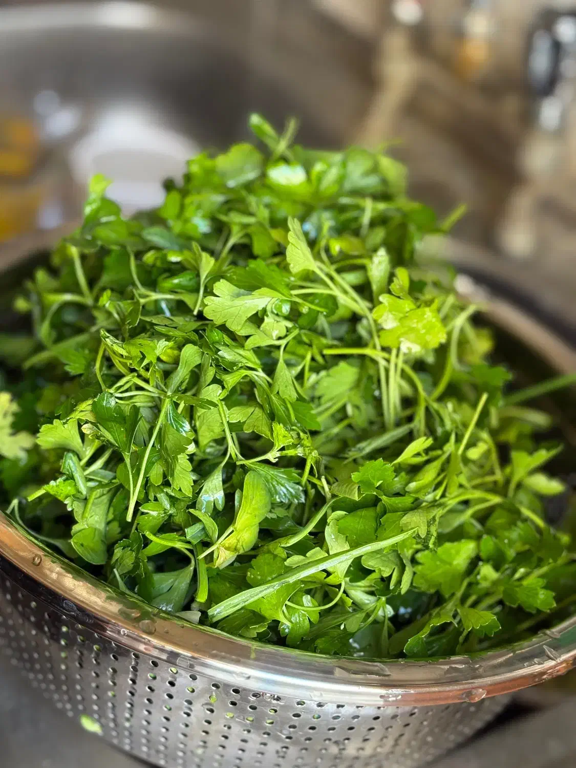 غذای خانگی|خوردنی و آشامیدنی|سهند, |دیوار