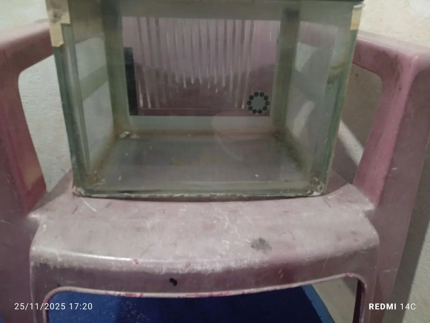 اکواریوم|ماهی|تبریز, |دیوار