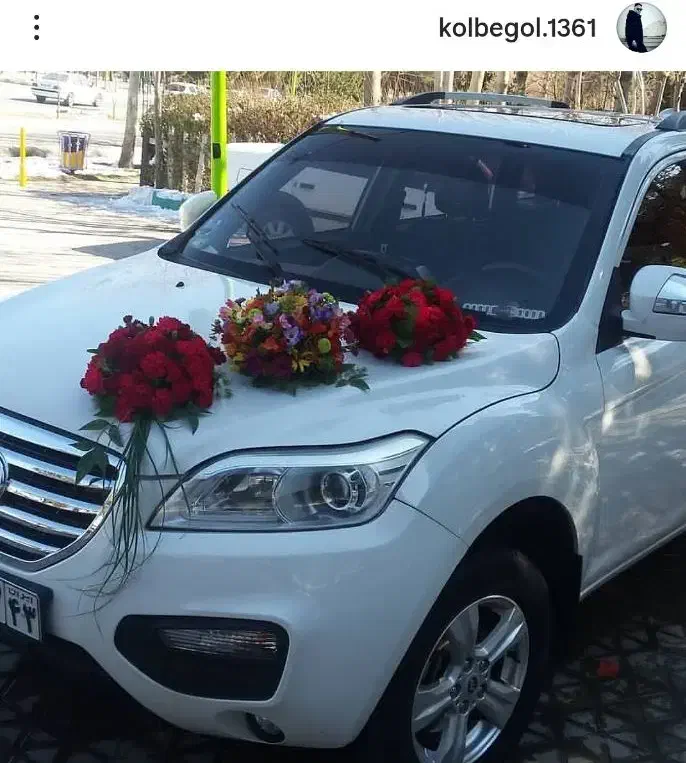 گل وگیاه لاکچری، کیفیت بالا، قیمت مناسب|گل و گیاه طبیعی|لنجان, |دیوار