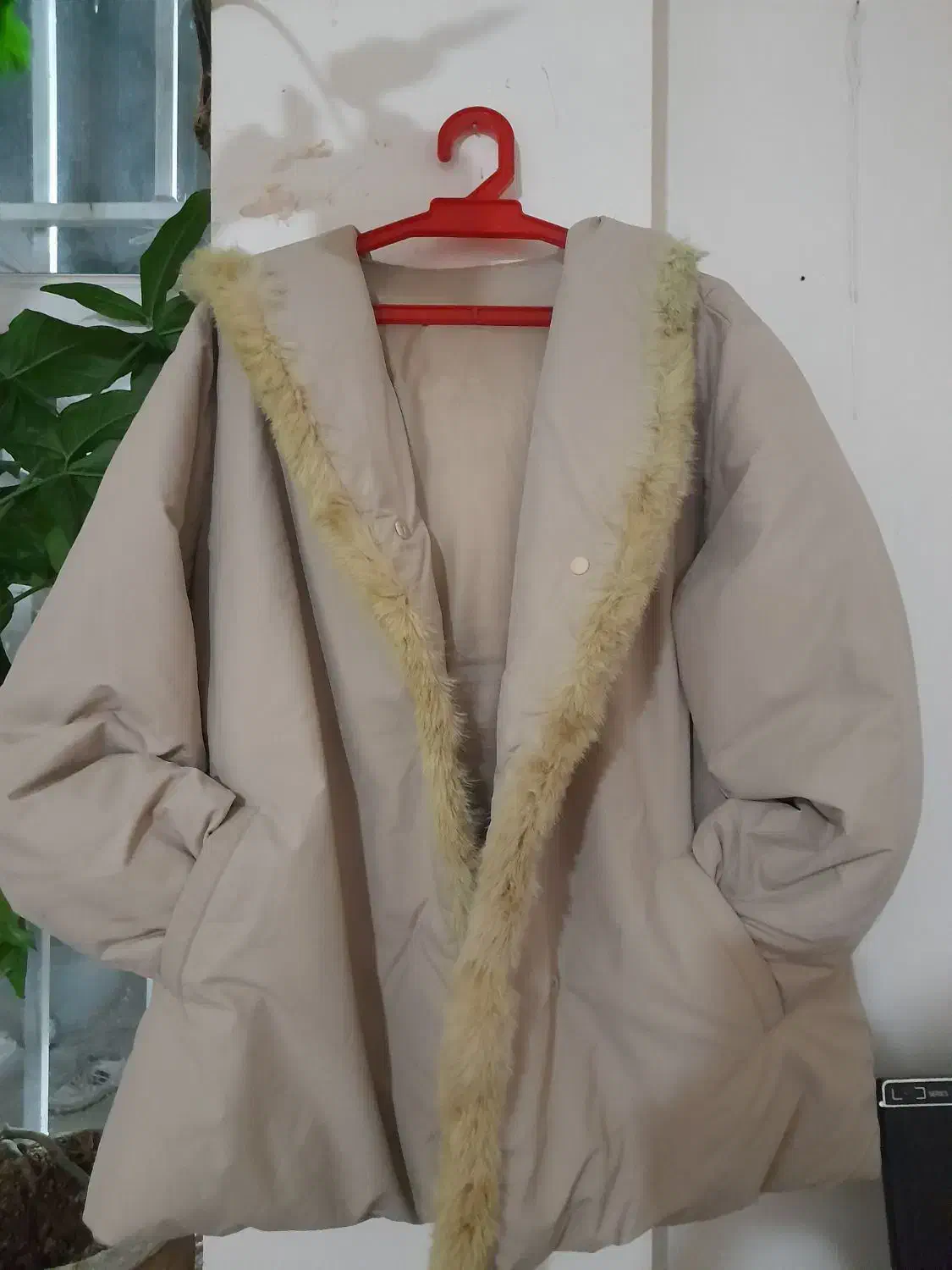 کاپشن بادی دخترونه|لباس|مشهد, نیزه|دیوار