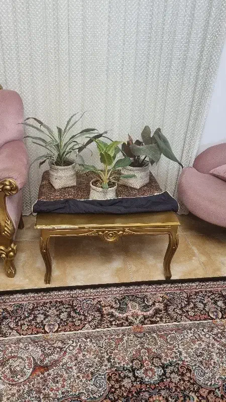 مبل و جلو مبلی وعسلی غذاخوری|مبلمان خانگی و میز عسلی|ساری, |دیوار