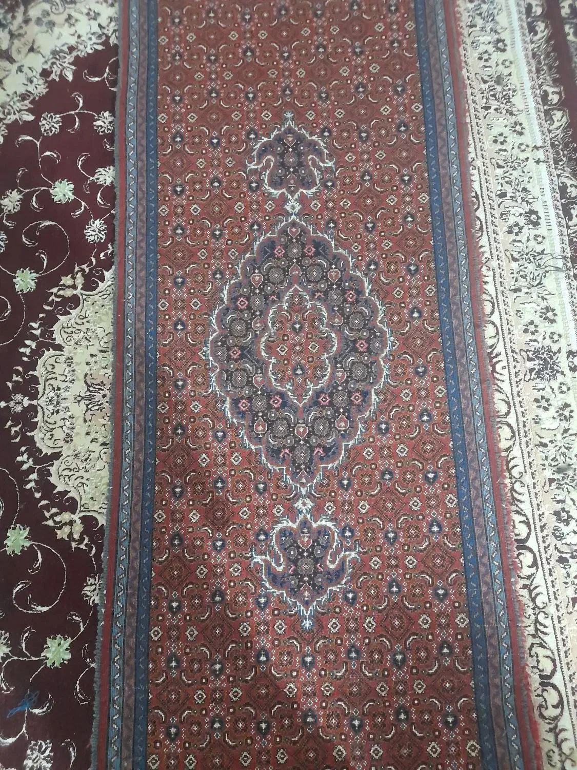 فرش کناره میراشرف|فرش|اردبیل, |دیوار