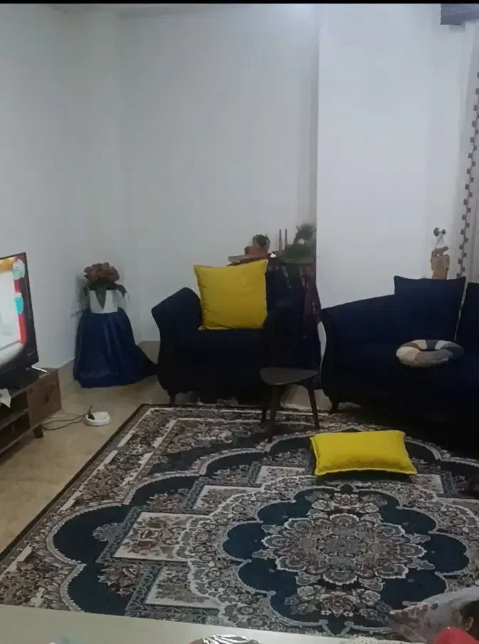 فرش ۱۲ متری|فرش|گنبد کاووس, |دیوار