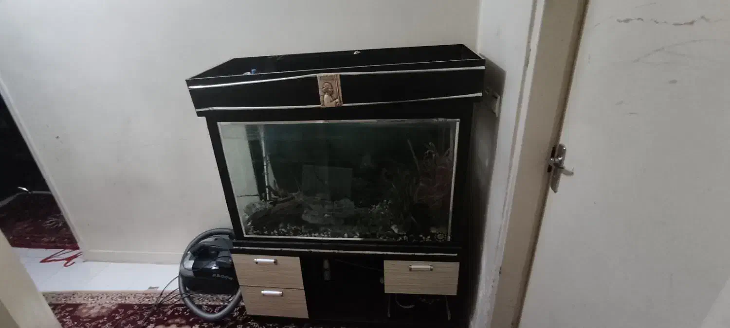 آکواریوم بزرگ|ماهی|تبریز, |دیوار