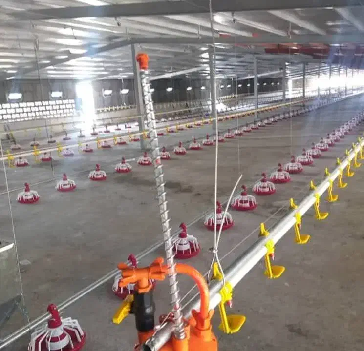 سالندار مرغداری|استخدام صنعتی، فنی، مهندسی|کلاله, |دیوار