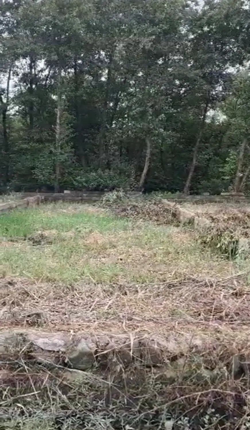 زمین تک برگ|فروش زمین و ملک کلنگی|چاف و چمخاله, |دیوار