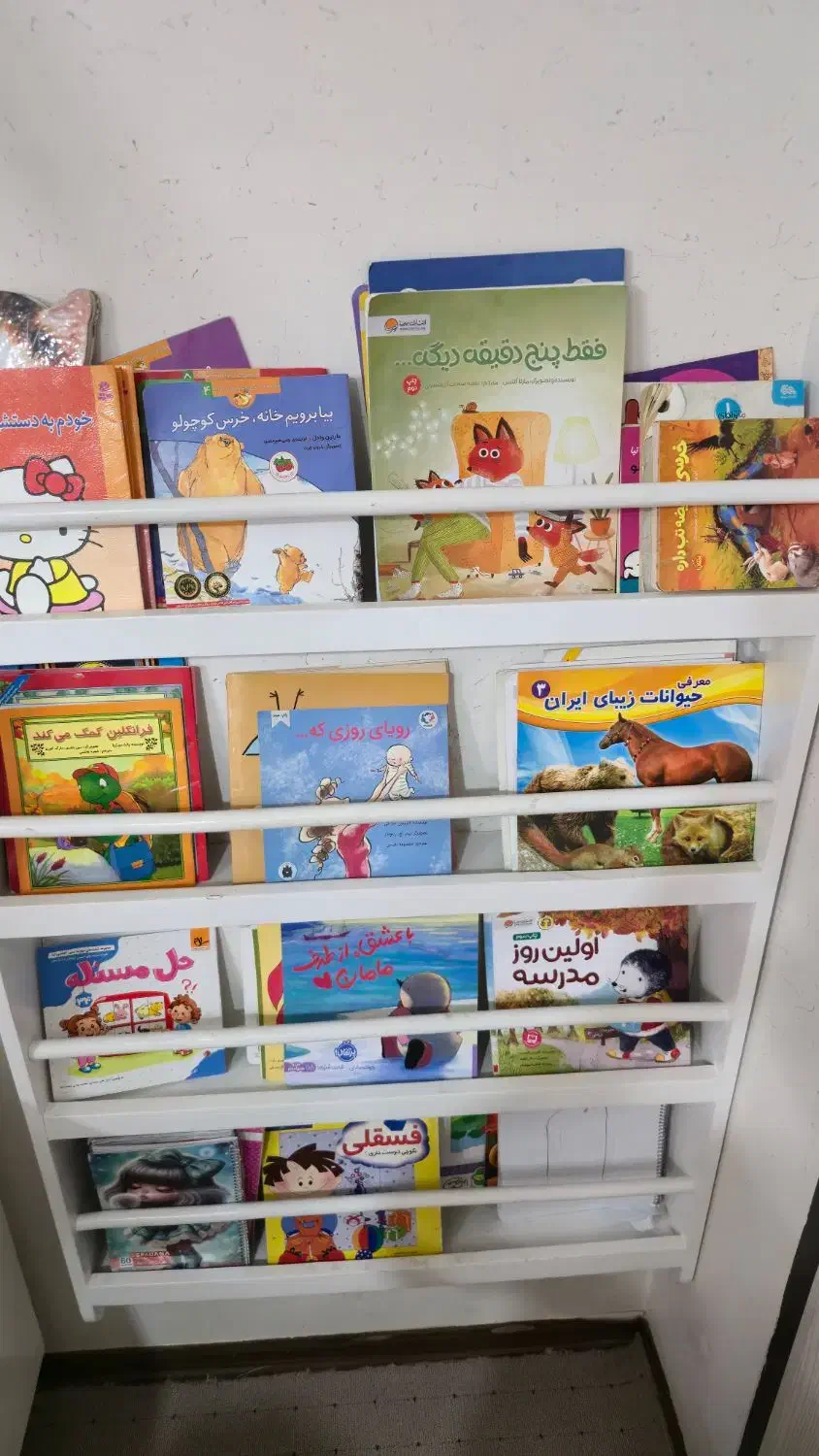 کتابخانه مونته سوری|کتابخانه، شلف، قفسههای دیواری|اصفهان, دشتستان|دیوار