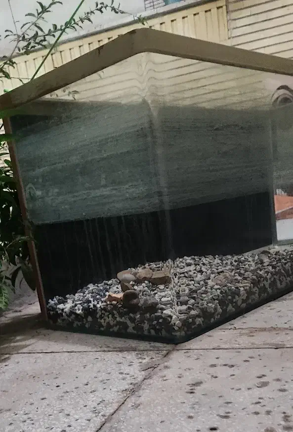 آکواریوم شرکتی یک تیکه|ماهی|قم, بنیاد|دیوار