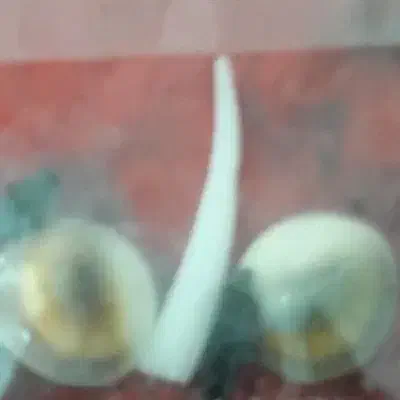 مهره|جواهرات|شوش, |دیوار