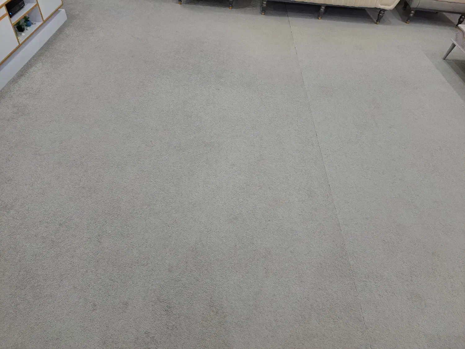 پالاز موکت|موکت|بندر دیر, |دیوار